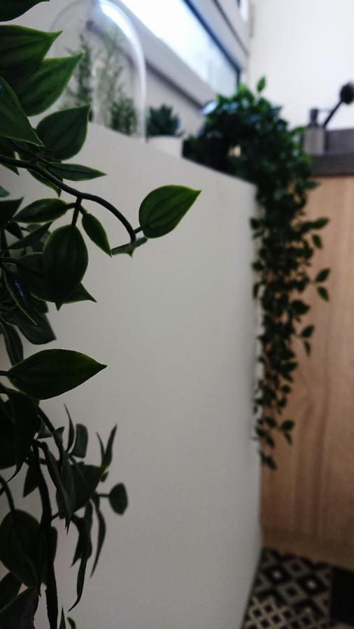 Lodeve Oasis Appartement Buitenkant foto